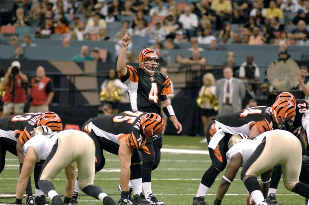 NFL Reviews Domestic Violence Policy in Light of the Ray Rice Case